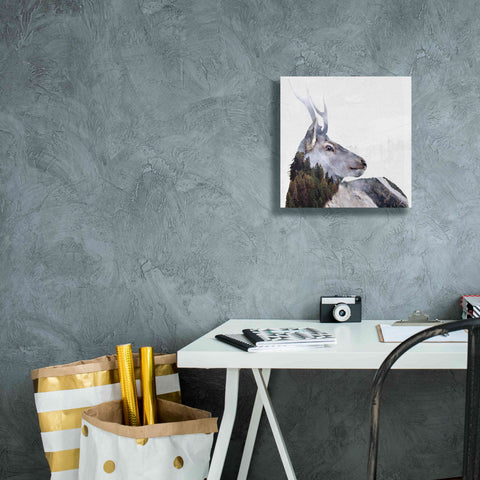 Image of 'Alpine Stag' by Karen Smith Giclee Canvas Wall Art,12x12