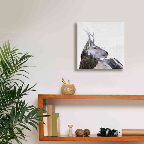 Image of 'Alpine Stag' by Karen Smith Giclee Canvas Wall Art,12x12