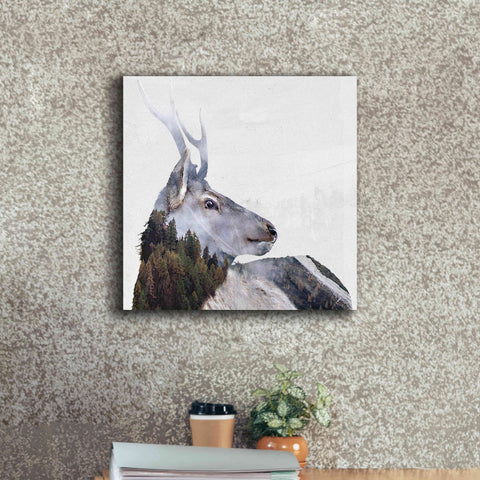 Image of 'Alpine Stag' by Karen Smith Giclee Canvas Wall Art,18x18