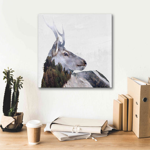 Image of 'Alpine Stag' by Karen Smith Giclee Canvas Wall Art,18x18