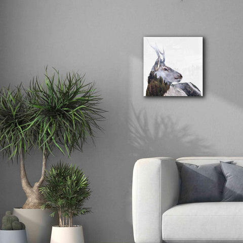 Image of 'Alpine Stag' by Karen Smith Giclee Canvas Wall Art,18x18