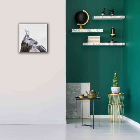 Image of 'Alpine Stag' by Karen Smith Giclee Canvas Wall Art,18x18