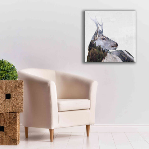 Image of 'Alpine Stag' by Karen Smith Giclee Canvas Wall Art,26x26