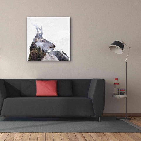 Image of 'Alpine Stag' by Karen Smith Giclee Canvas Wall Art,37x37