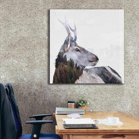 Image of 'Alpine Stag' by Karen Smith Giclee Canvas Wall Art,37x37