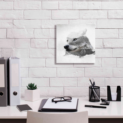 Image of 'Wolf In Ice' by Karen Smith Giclee Canvas Wall Art,12x12