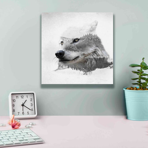 Image of 'Wolf In Ice' by Karen Smith Giclee Canvas Wall Art,12x12