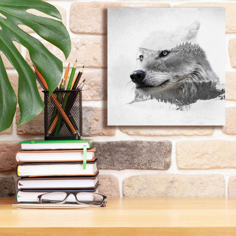 Image of 'Wolf In Ice' by Karen Smith Giclee Canvas Wall Art,12x12