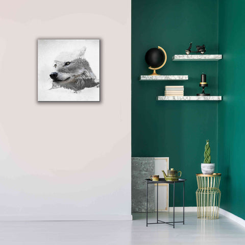 Image of 'Wolf In Ice' by Karen Smith Giclee Canvas Wall Art,26x26