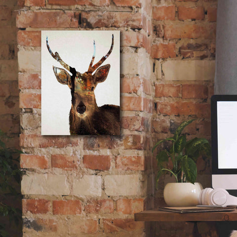 Image of 'Stag Forest' by Karen Smith Giclee Canvas Wall Art,12x16