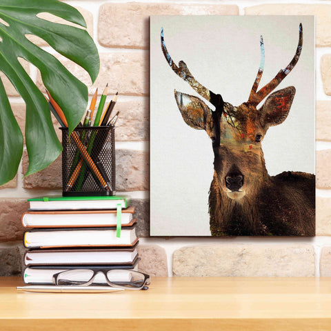 Image of 'Stag Forest' by Karen Smith Giclee Canvas Wall Art,12x16