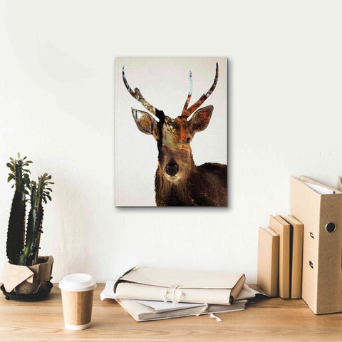 Image of 'Stag Forest' by Karen Smith Giclee Canvas Wall Art,12x16