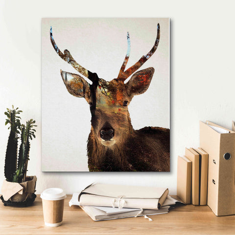 Image of 'Stag Forest' by Karen Smith Giclee Canvas Wall Art,20x24