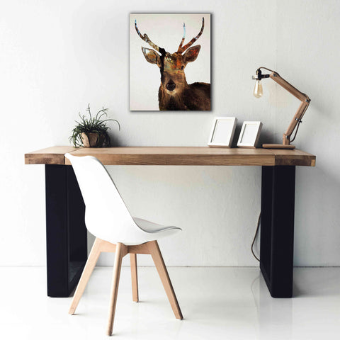 Image of 'Stag Forest' by Karen Smith Giclee Canvas Wall Art,20x24