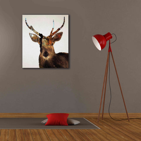 Image of 'Stag Forest' by Karen Smith Giclee Canvas Wall Art,26x30