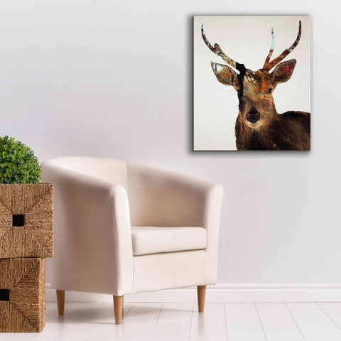 Image of 'Stag Forest' by Karen Smith Giclee Canvas Wall Art,26x30