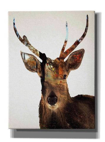 Image of 'Stag Forest' by Karen Smith Giclee Canvas Wall Art