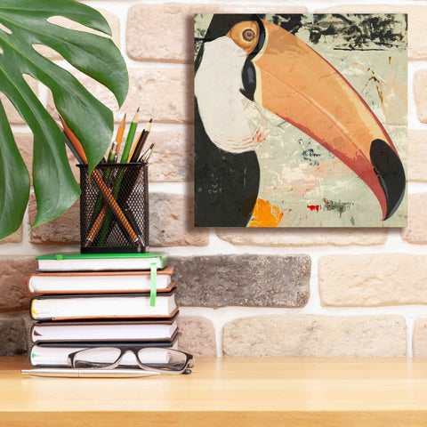 Image of 'Toucan Play 2' by Karen Smith Giclee Canvas Wall Art,12x12