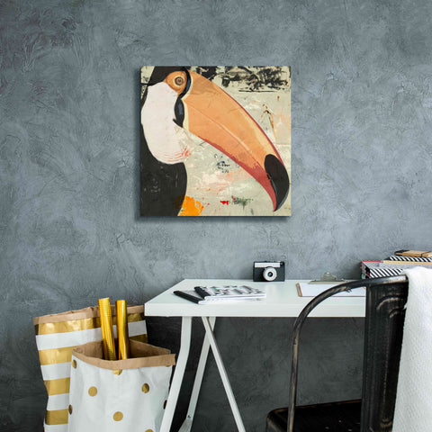 Image of 'Toucan Play 2' by Karen Smith Giclee Canvas Wall Art,18x18