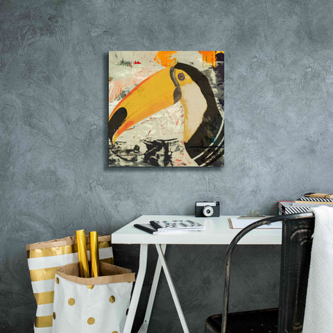Image of 'Toucan Play 1' by Karen Smith Giclee Canvas Wall Art,18x18