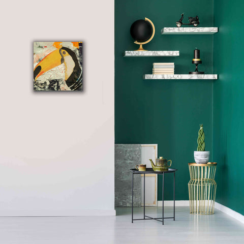 Image of 'Toucan Play 1' by Karen Smith Giclee Canvas Wall Art,18x18