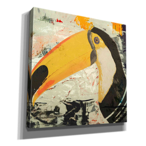 Image of 'Toucan Play 1' by Karen Smith Giclee Canvas Wall Art