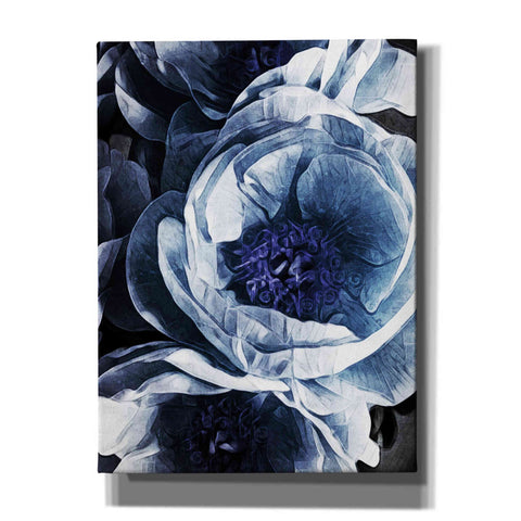 Image of 'Peony Blue Petals 1' by Ashley Aldridge Giclee Canvas Wall Art