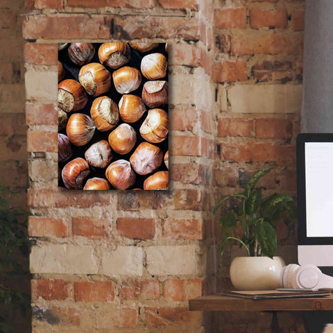 Image of 'Fruit Of The Hazel 1' by Ashley Aldridge Giclee Canvas Wall Art,12 x 16