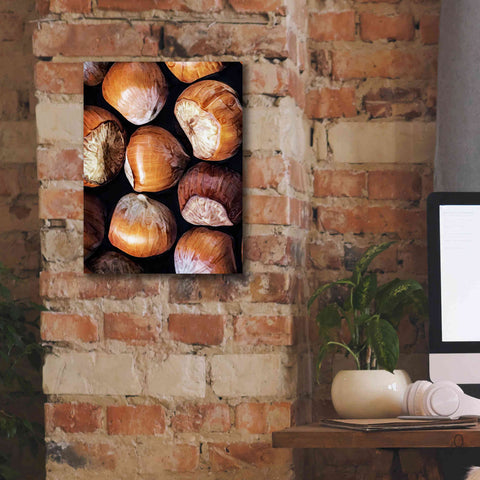 Image of 'Fruit Of The Hazel 2' by Ashley Aldridge Giclee Canvas Wall Art,12 x 16