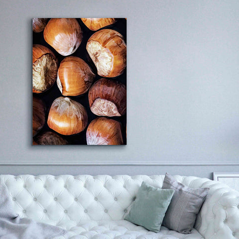 Image of 'Fruit Of The Hazel 2' by Ashley Aldridge Giclee Canvas Wall Art,40 x 54