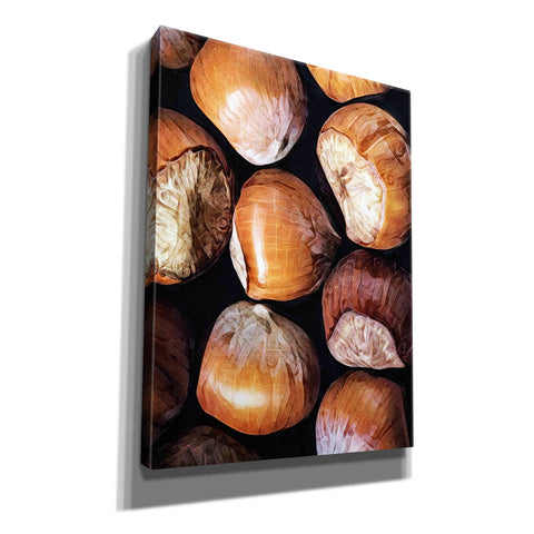 Image of 'Fruit Of The Hazel 2' by Ashley Aldridge Giclee Canvas Wall Art
