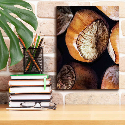 Image of 'Fruit Of The Hazel 3' by Ashley Aldridge Giclee Canvas Wall Art,12 x 16