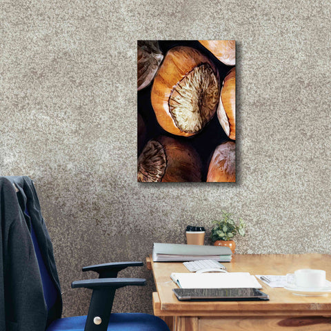 Image of 'Fruit Of The Hazel 3' by Ashley Aldridge Giclee Canvas Wall Art,18 x 26