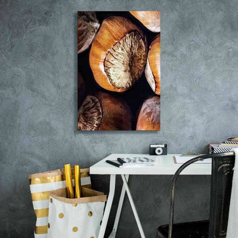 Image of 'Fruit Of The Hazel 3' by Ashley Aldridge Giclee Canvas Wall Art,18 x 26