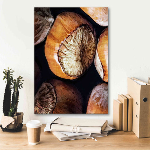Image of 'Fruit Of The Hazel 3' by Ashley Aldridge Giclee Canvas Wall Art,18 x 26