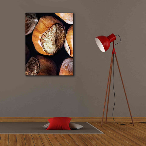 Image of 'Fruit Of The Hazel 3' by Ashley Aldridge Giclee Canvas Wall Art,26 x 34