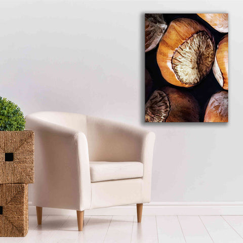 Image of 'Fruit Of The Hazel 3' by Ashley Aldridge Giclee Canvas Wall Art,26 x 34