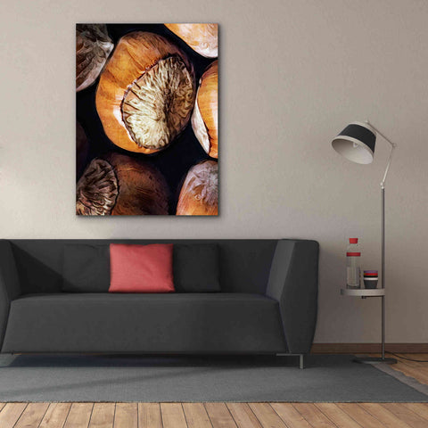 Image of 'Fruit Of The Hazel 3' by Ashley Aldridge Giclee Canvas Wall Art,40 x 54