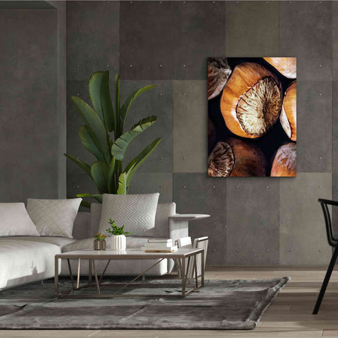 Image of 'Fruit Of The Hazel 3' by Ashley Aldridge Giclee Canvas Wall Art,40 x 54