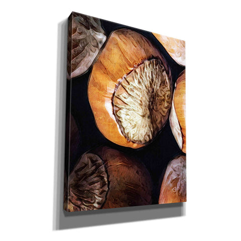 Image of 'Fruit Of The Hazel 3' by Ashley Aldridge Giclee Canvas Wall Art