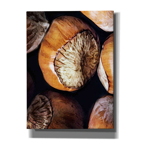 Image of 'Fruit Of The Hazel 3' by Ashley Aldridge Giclee Canvas Wall Art