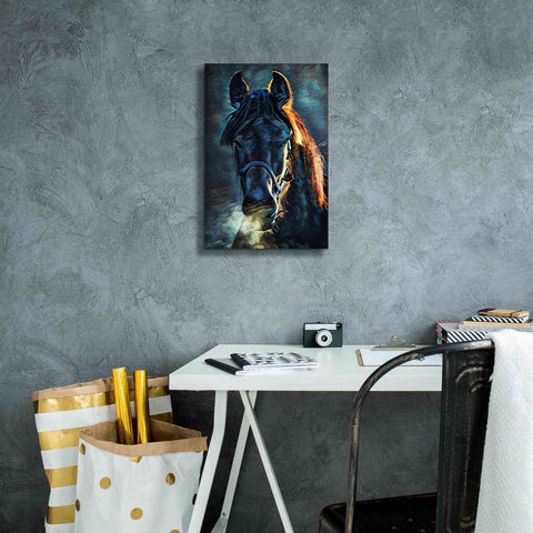 Image of 'Black Stallion Stare 1' by Ashley Aldridge Giclee Canvas Wall Art,12 x 18