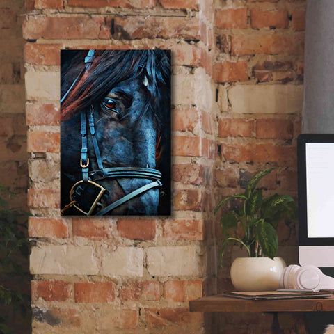 Image of 'Black Stallion Stare 2' by Ashley Aldridge Giclee Canvas Wall Art,12 x 18