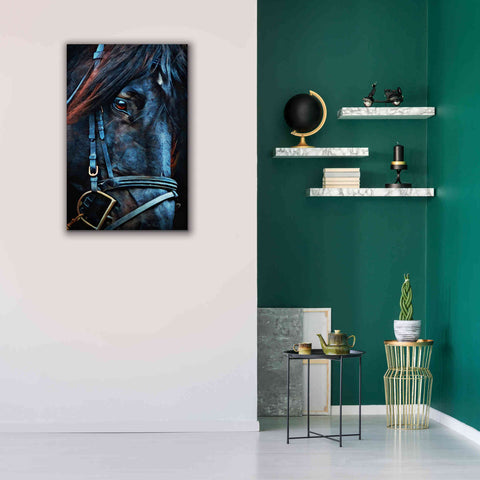 Image of 'Black Stallion Stare 2' by Ashley Aldridge Giclee Canvas Wall Art,26 x 40