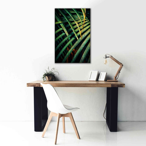 Image of 'Beauty Amongst Palms 1' by Ashley Aldridge Giclee Canvas Wall Art,26 x 40