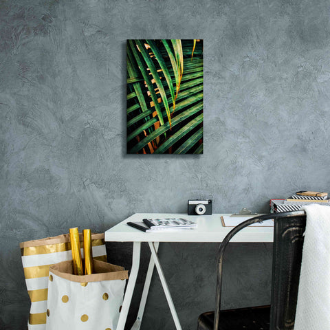 Image of 'Beauty Amongst Palms 2' by Ashley Aldridge Giclee Canvas Wall Art,12 x 18