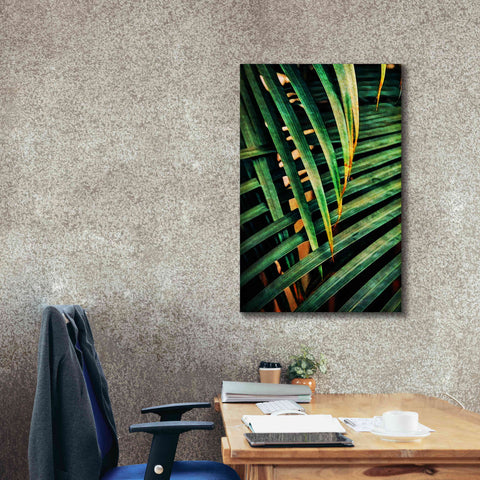 Image of 'Beauty Amongst Palms 2' by Ashley Aldridge Giclee Canvas Wall Art,26 x 40
