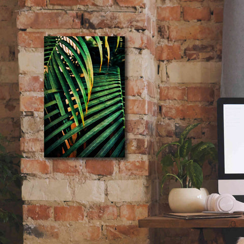 Image of 'Beauty Amongst Palms 3' by Ashley Aldridge Giclee Canvas Wall Art,12 x 18