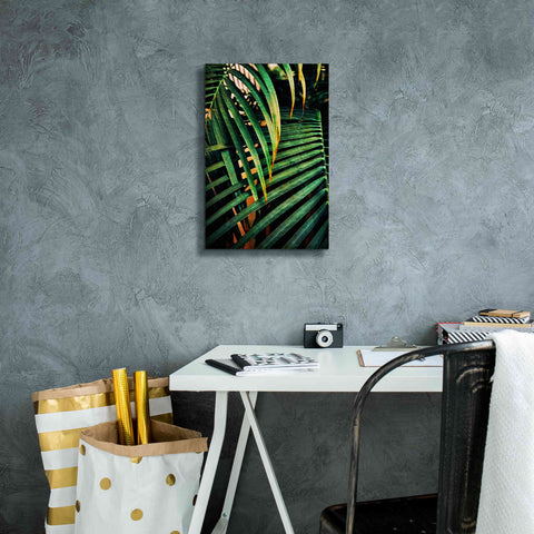 Image of 'Beauty Amongst Palms 3' by Ashley Aldridge Giclee Canvas Wall Art,12 x 18