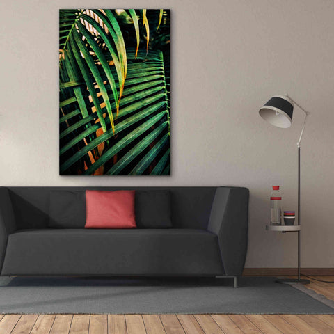 Image of 'Beauty Amongst Palms 3' by Ashley Aldridge Giclee Canvas Wall Art,40 x 60